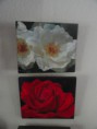 /album/schilderijen-bloemen/rozen-wit-en-rood-jpg/